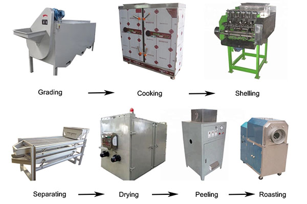 200-300kg/h cashew nut processing line